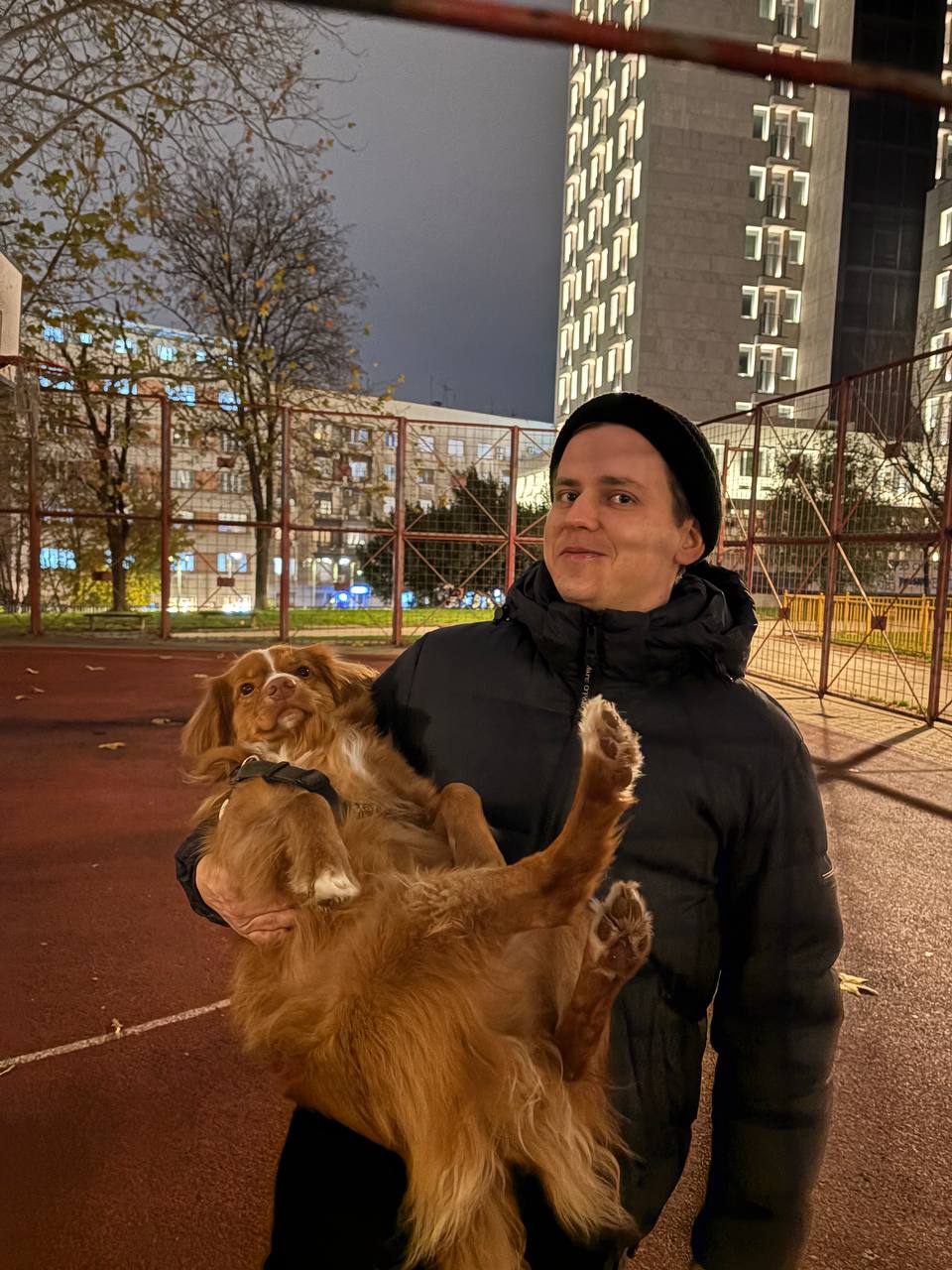 Даже пёс вайбкодит